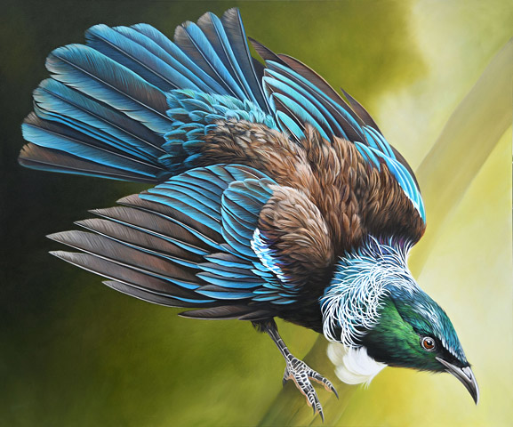Craig Platt nz bird art, Tui show, oil on canvas